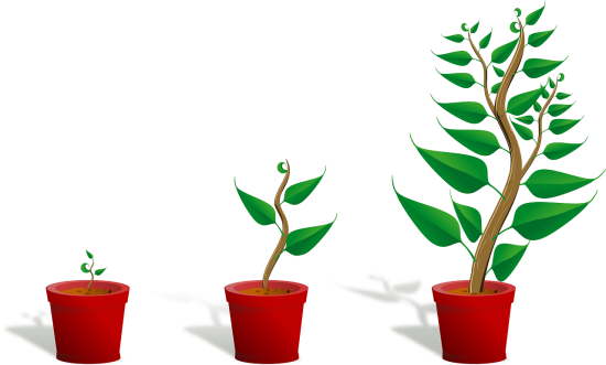 three red pots with green plants in them